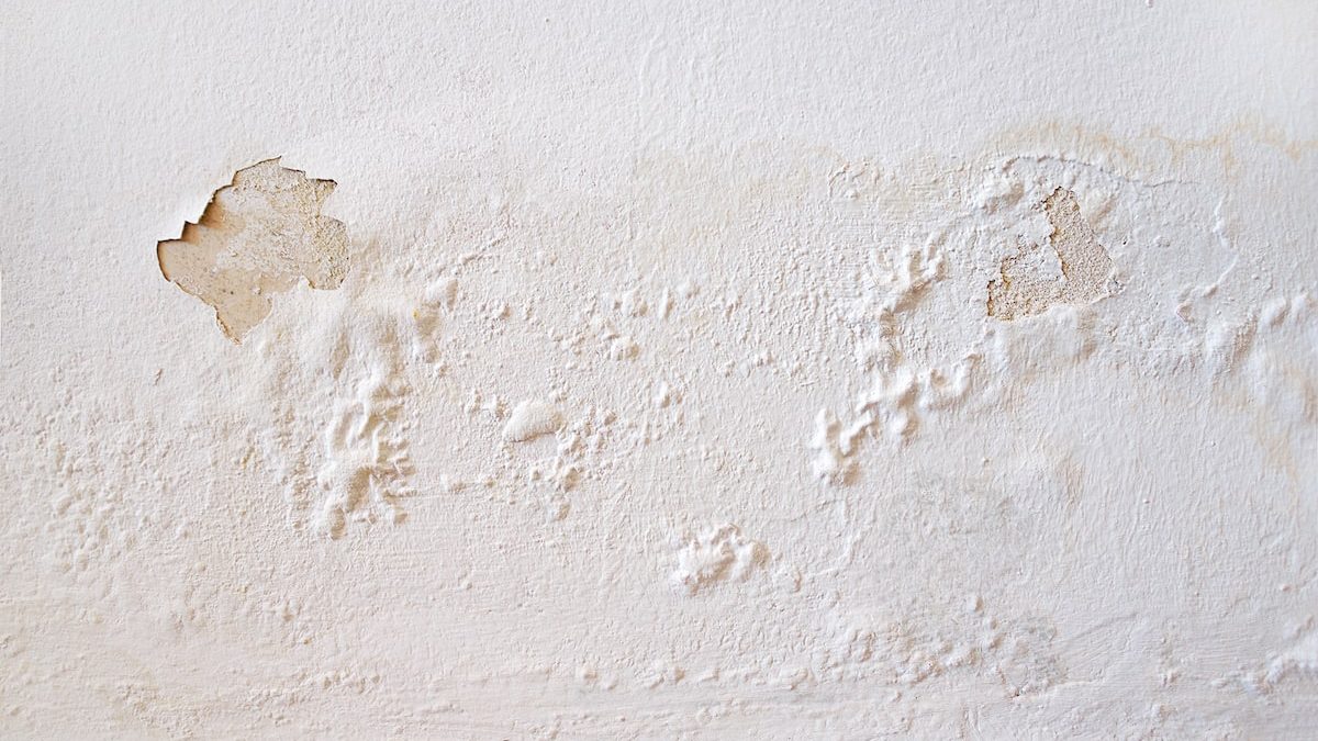 Moderate water damage on white wall.