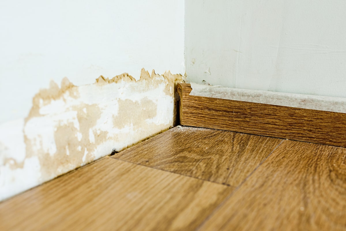 Water-damaged baseboards are commun in houses with humidity.