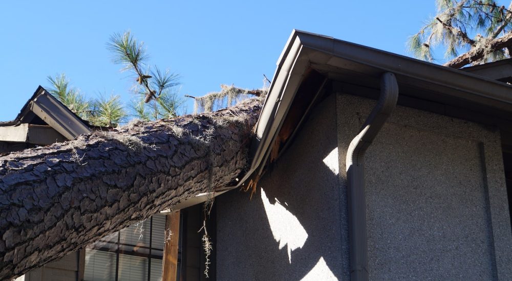 a tree falls on a house and causes property damage